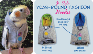 オカメインコが着たバーディフーディ（小型向け）