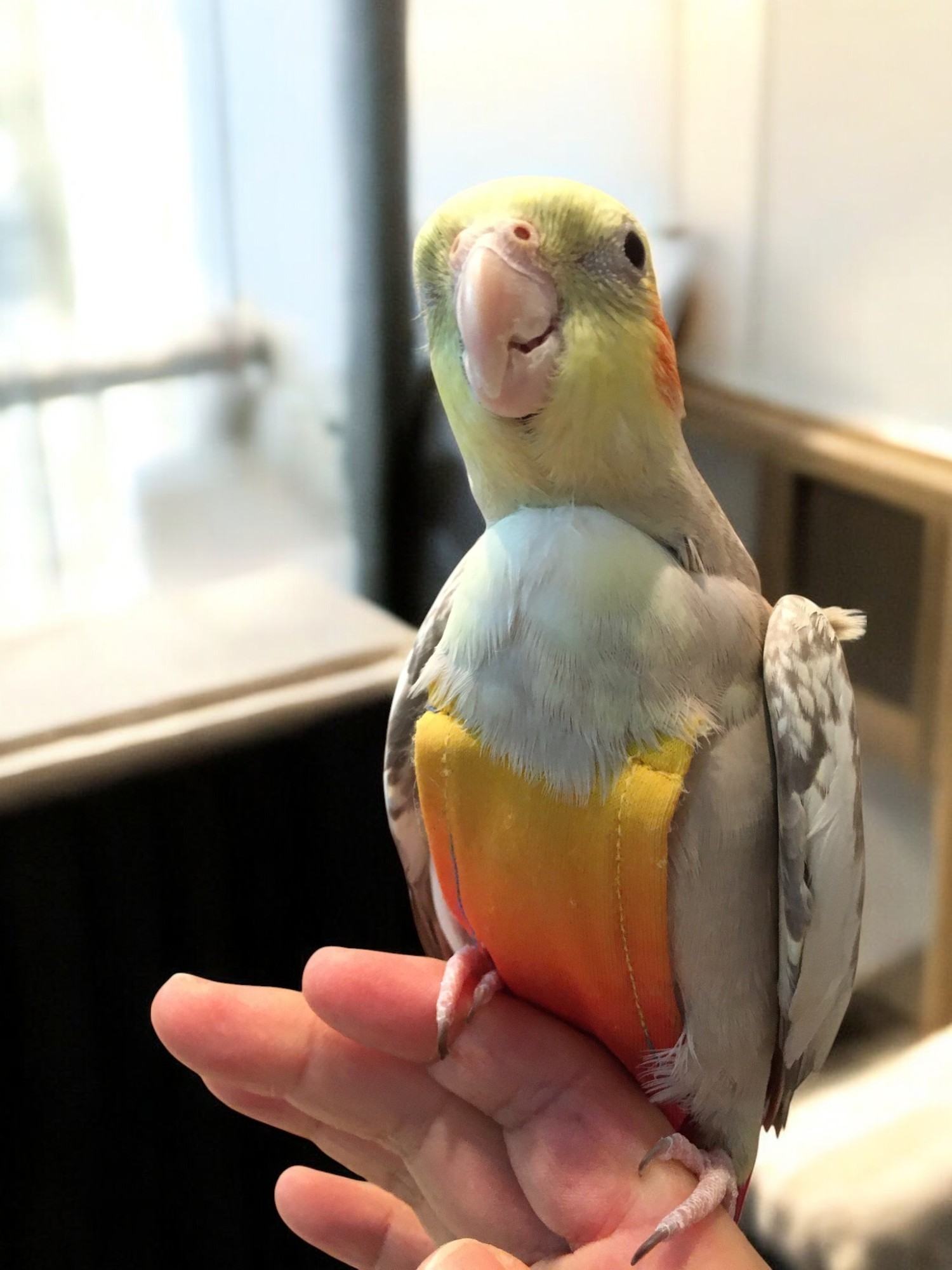 正面から見たフライトスーツ着用写真